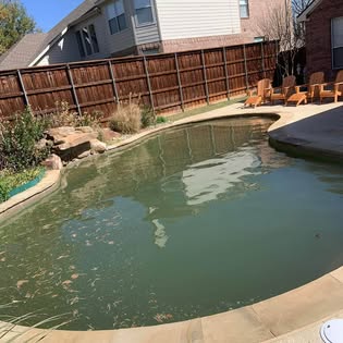 Pool before service, green water